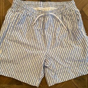 Birddogs Blue and White Striped Swim Trunks